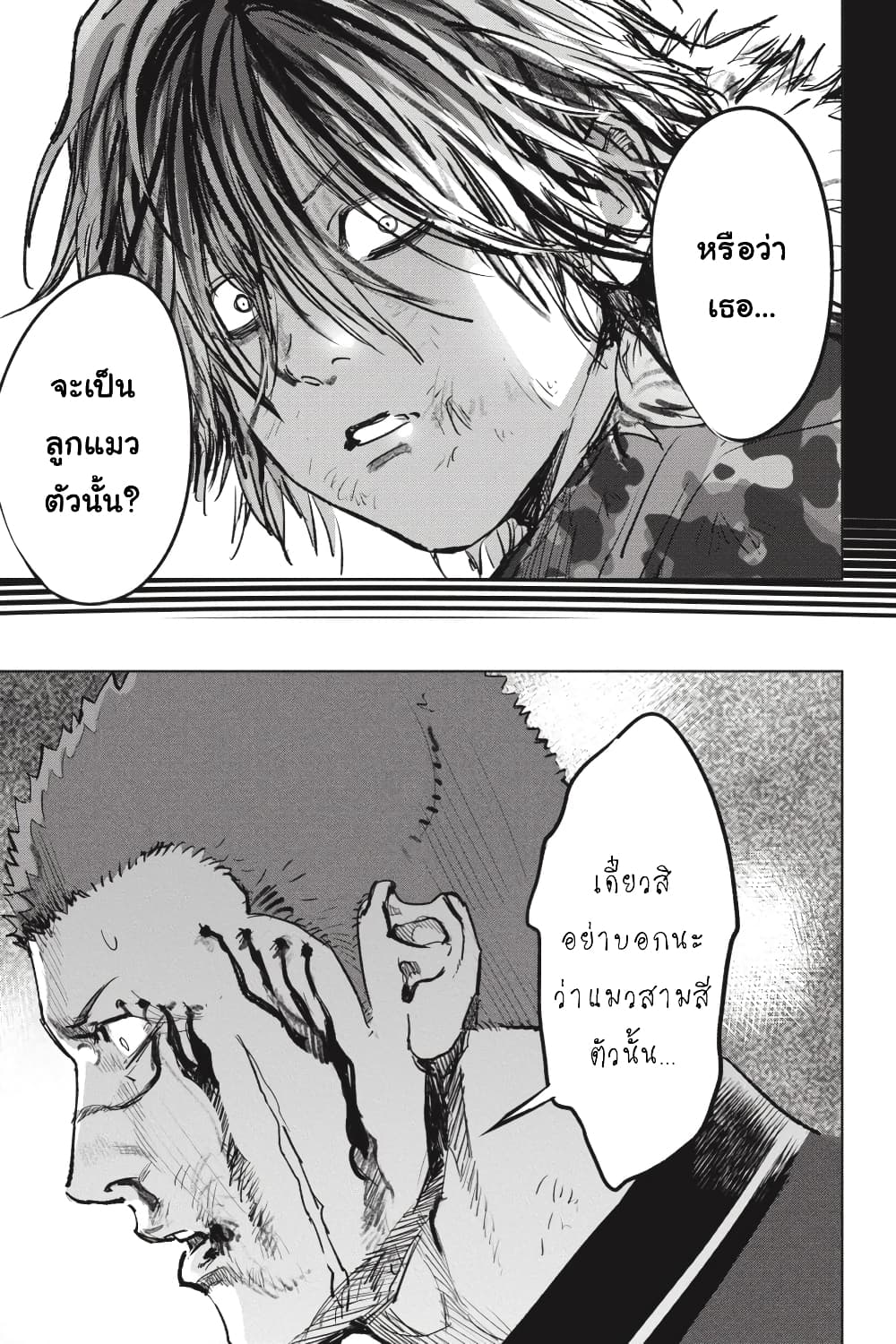 Nyankees 26-มาดาระ