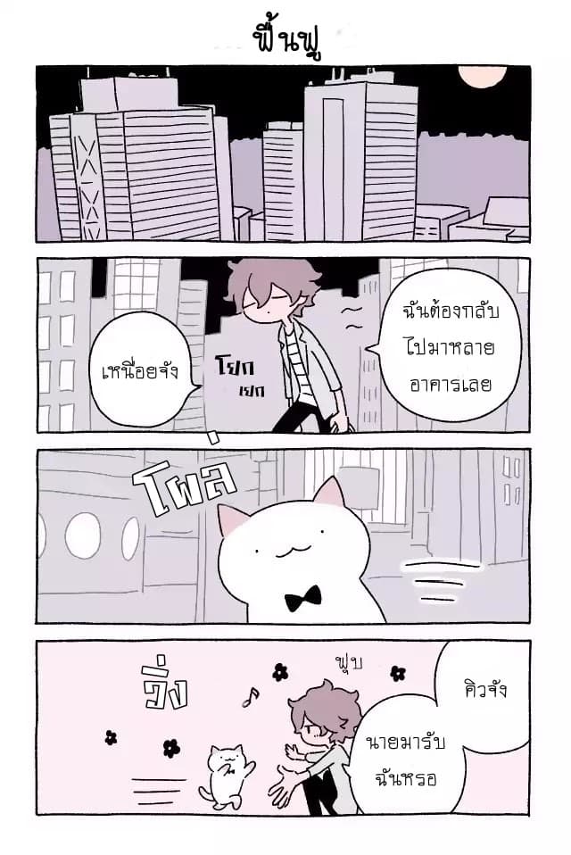 Wonder Cat Kyuu-chan คิวจัง แมวมหัศจรรย์ 10-10