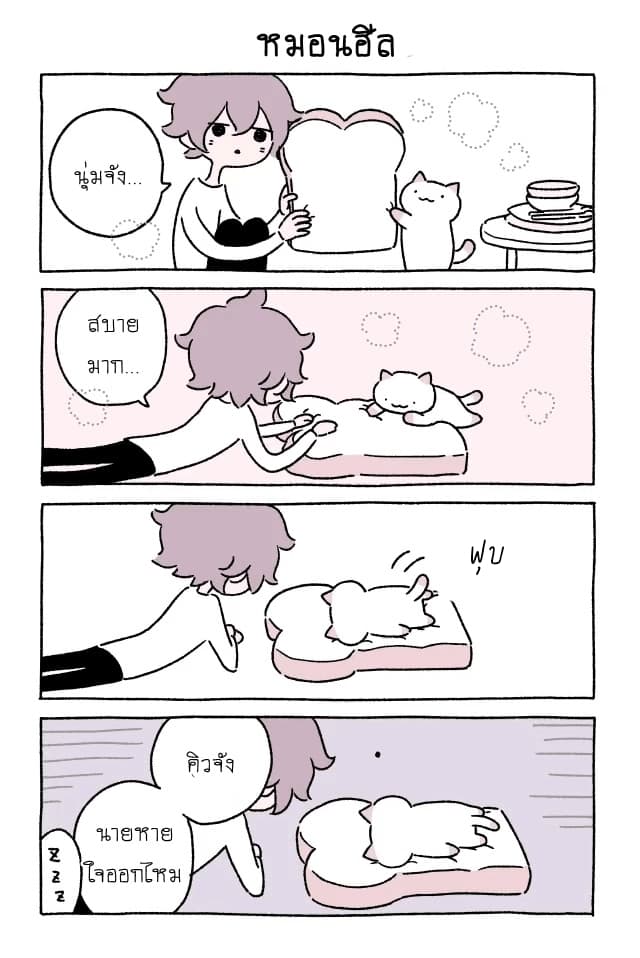 Wonder Cat Kyuu-chan คิวจัง แมวมหัศจรรย์ 20-20
