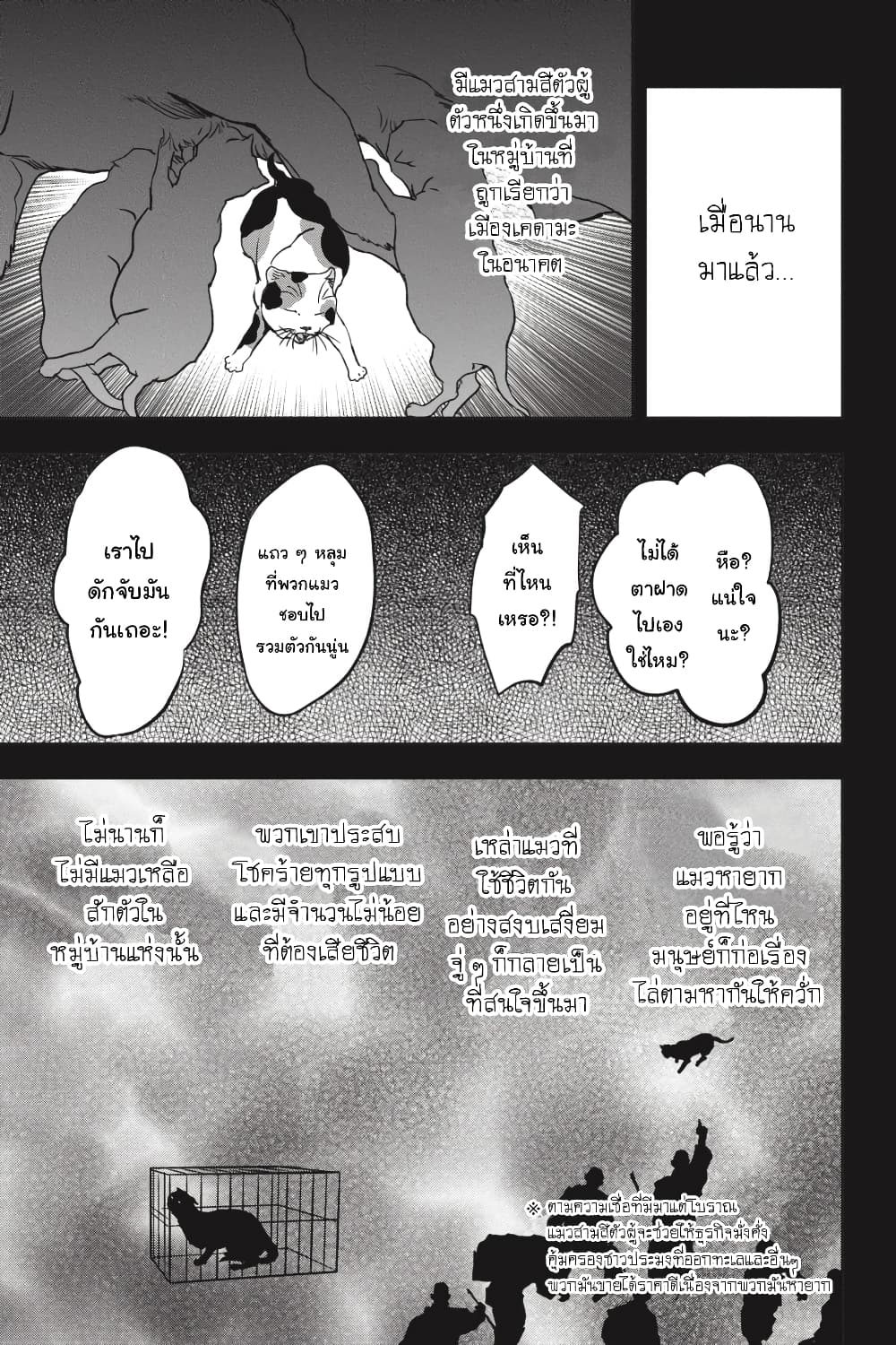 Nyankees 27-แมวสามสีตัวผู้เป็น...