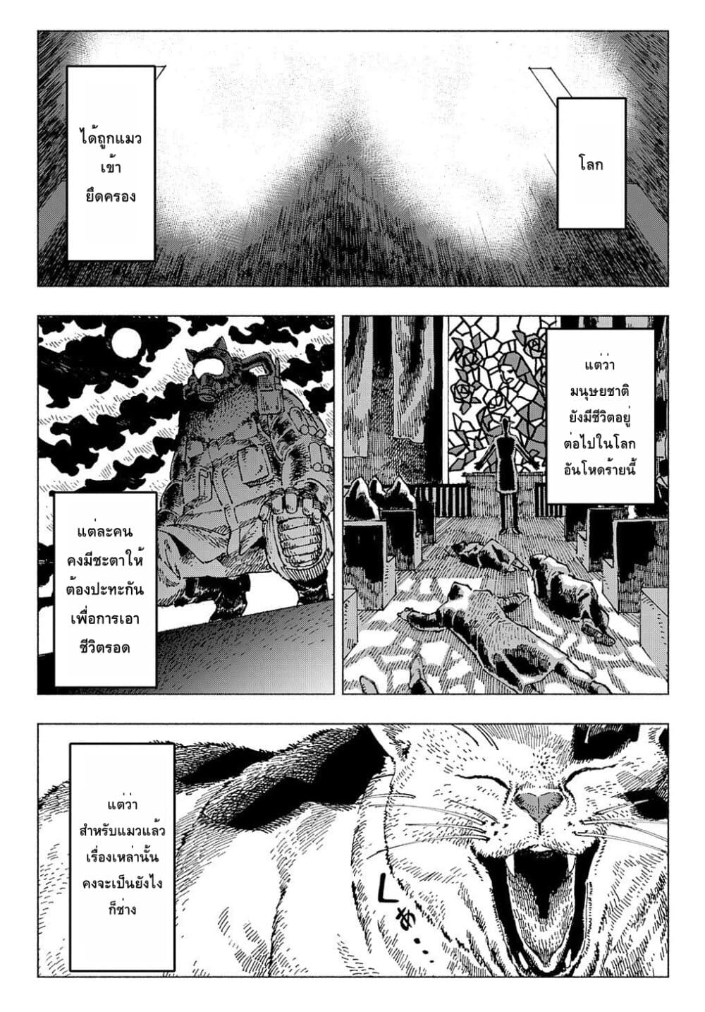 Nyaight of the Living Cat ซอมบี้เหมียวครองโลก! 1-ทุกสิ่งได้กลายเป็นแมว