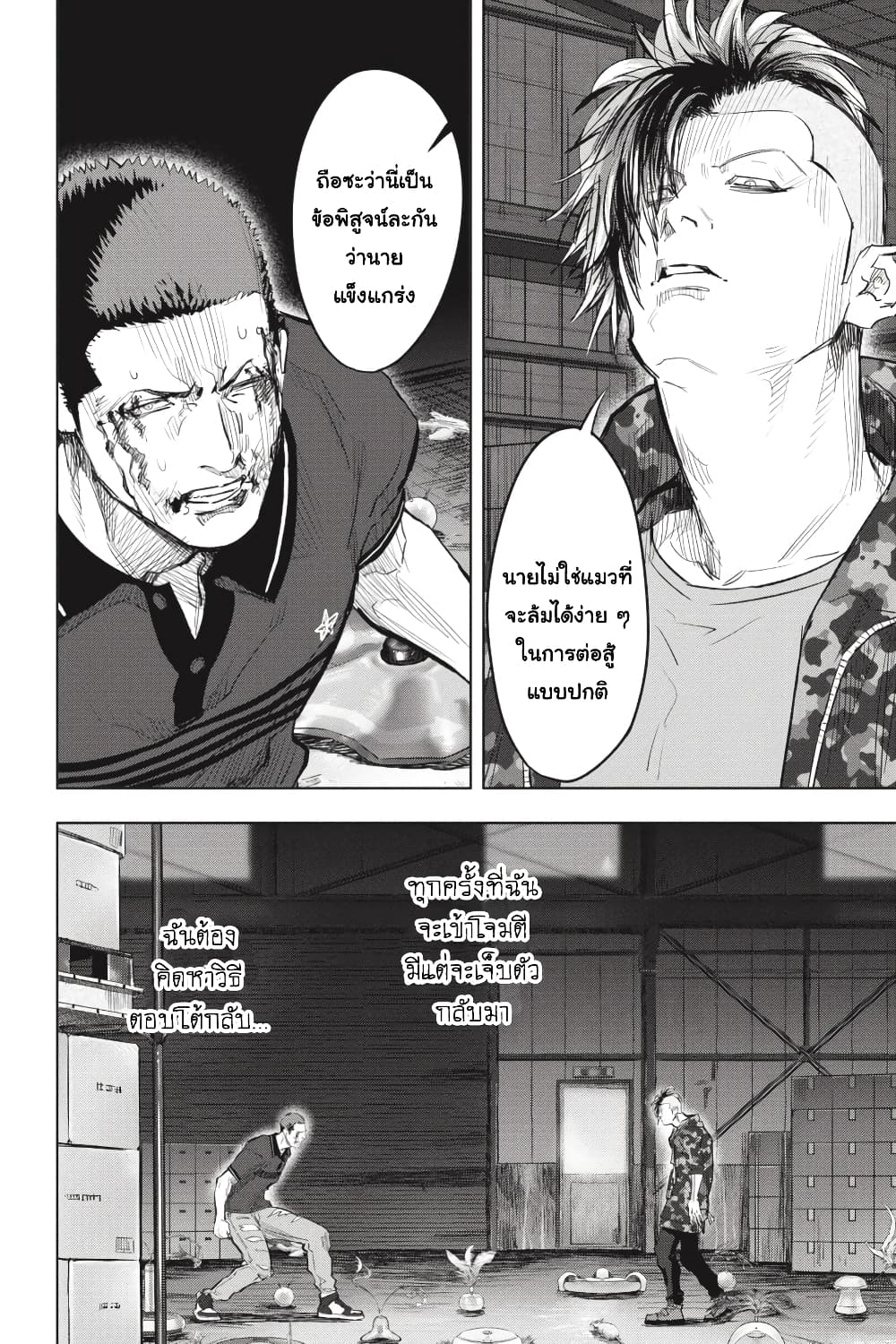 Nyankees 24-สัญชาตญาณแมว