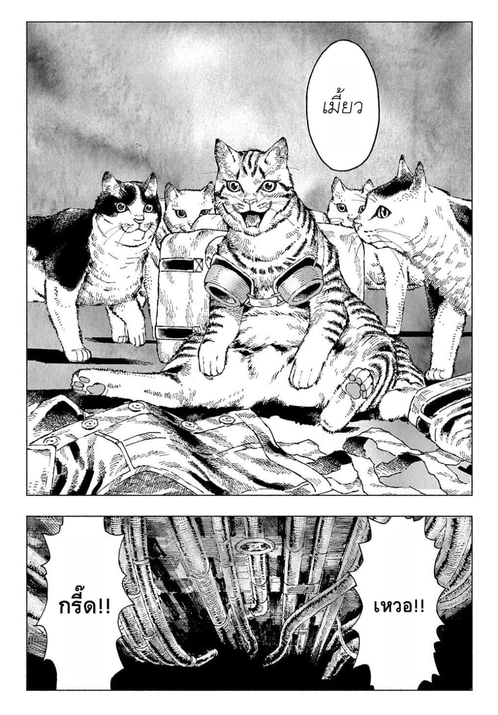 Nyaight of the Living Cat ซอมบี้เหมียวครองโลก! 1-ทุกสิ่งได้กลายเป็นแมว