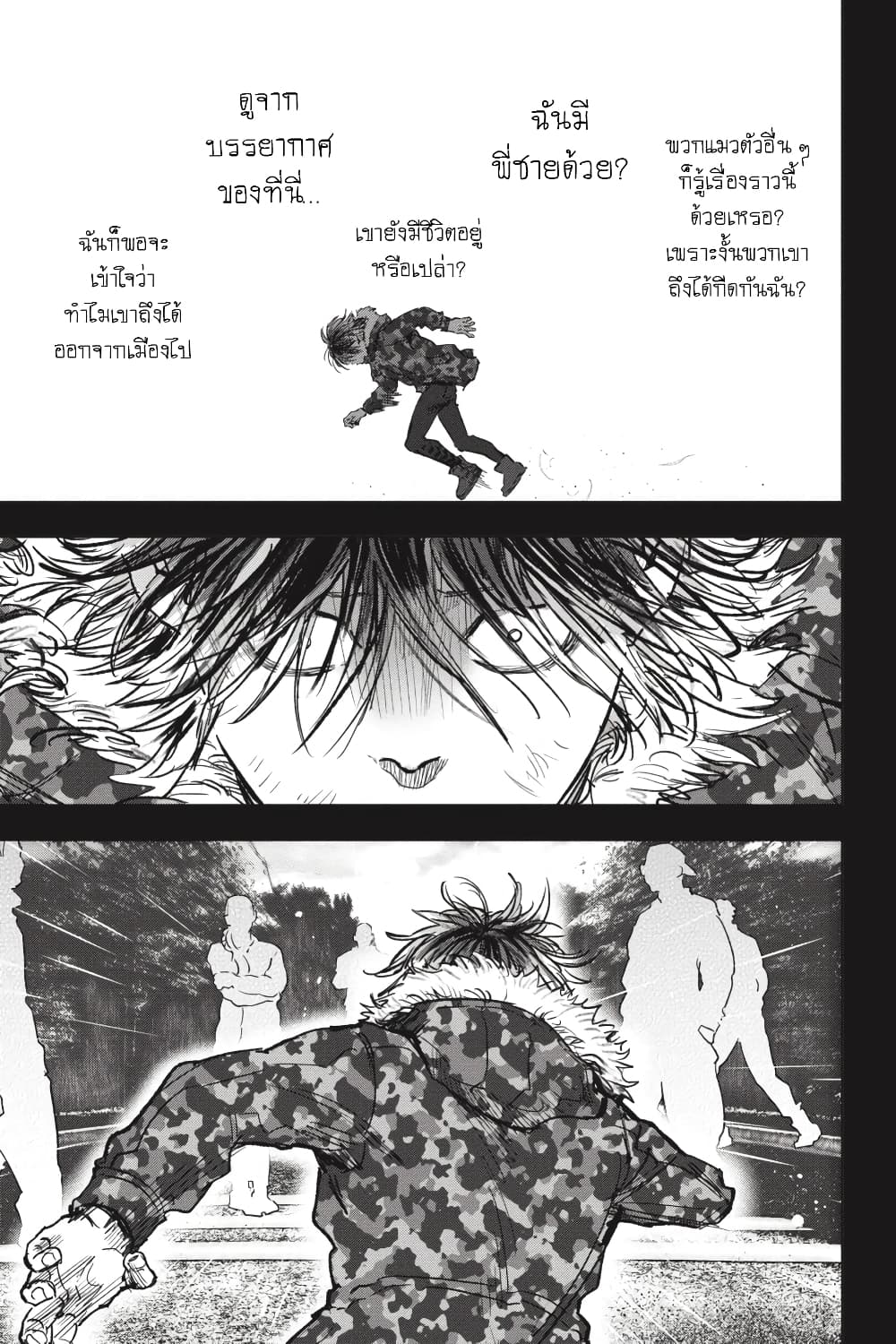 Nyankees 27-แมวสามสีตัวผู้เป็น...