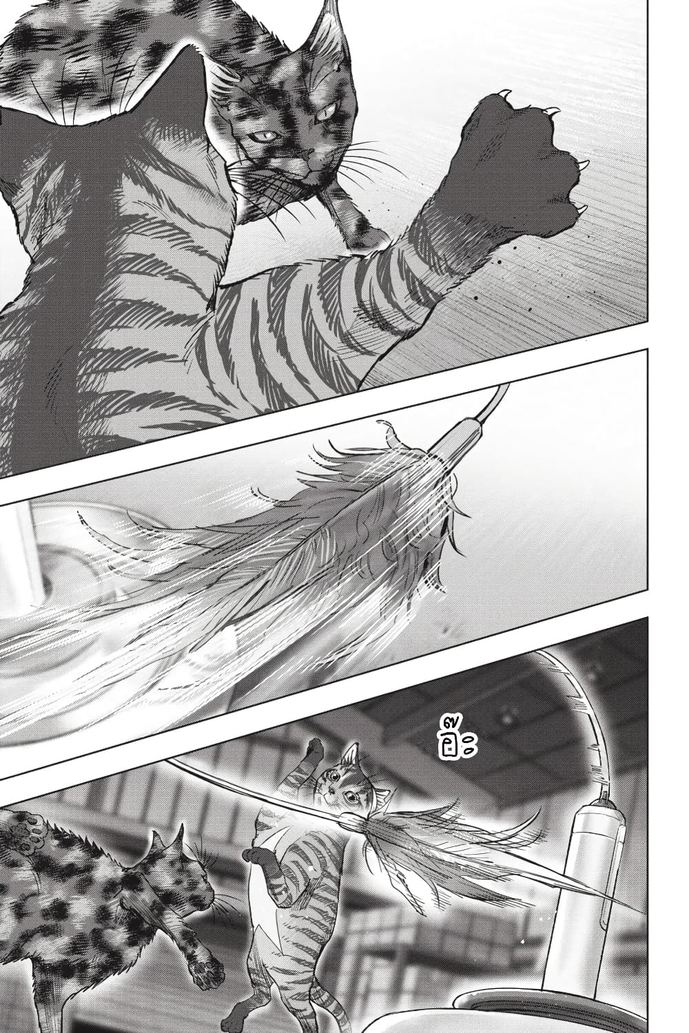 Nyankees 25-ไม่สามารถเอาชนะสัญชาตญาณได้