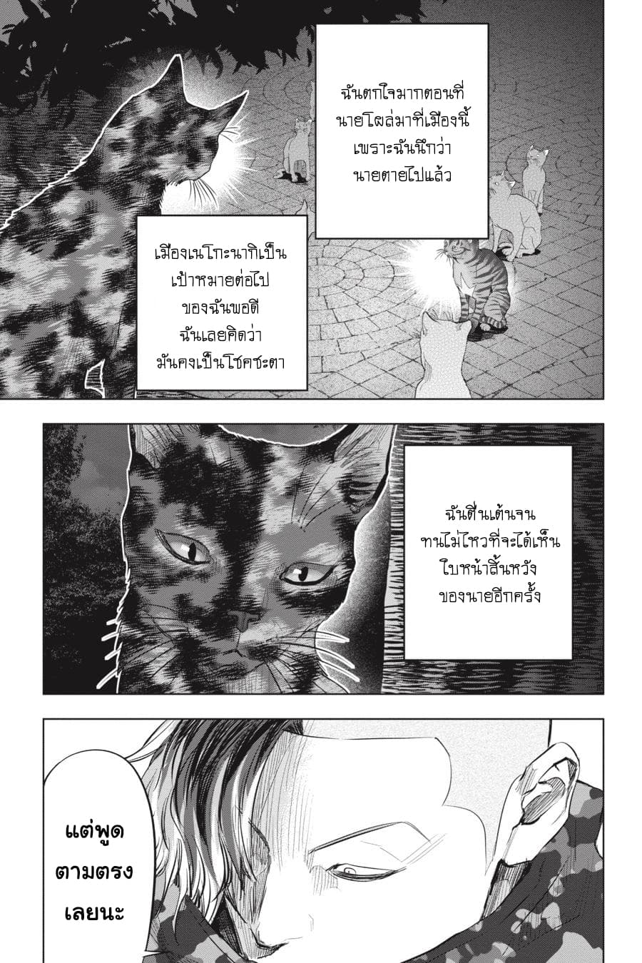 Nyankees 23-ปิดบัญชี
