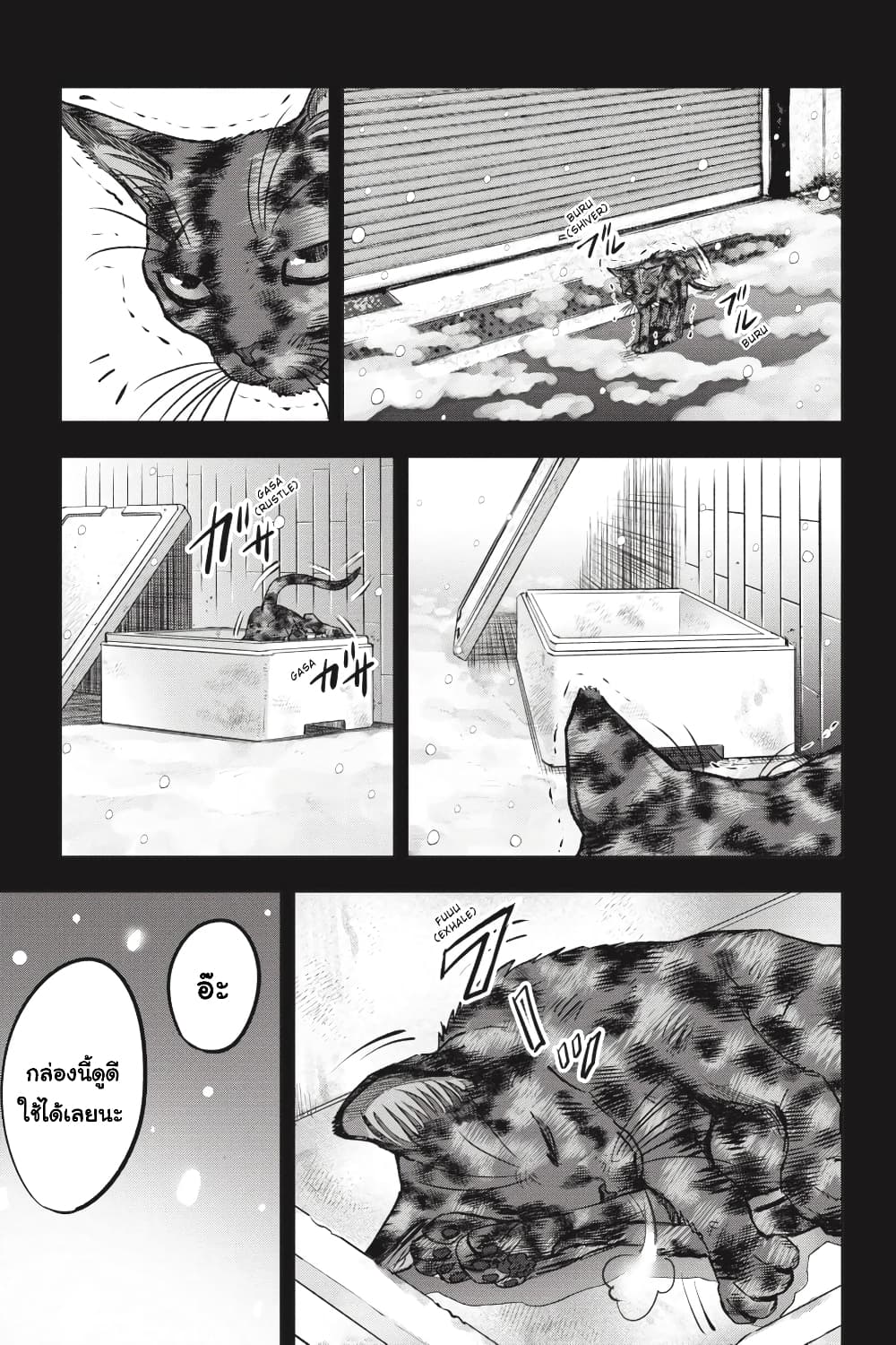 Nyankees 26-มาดาระ