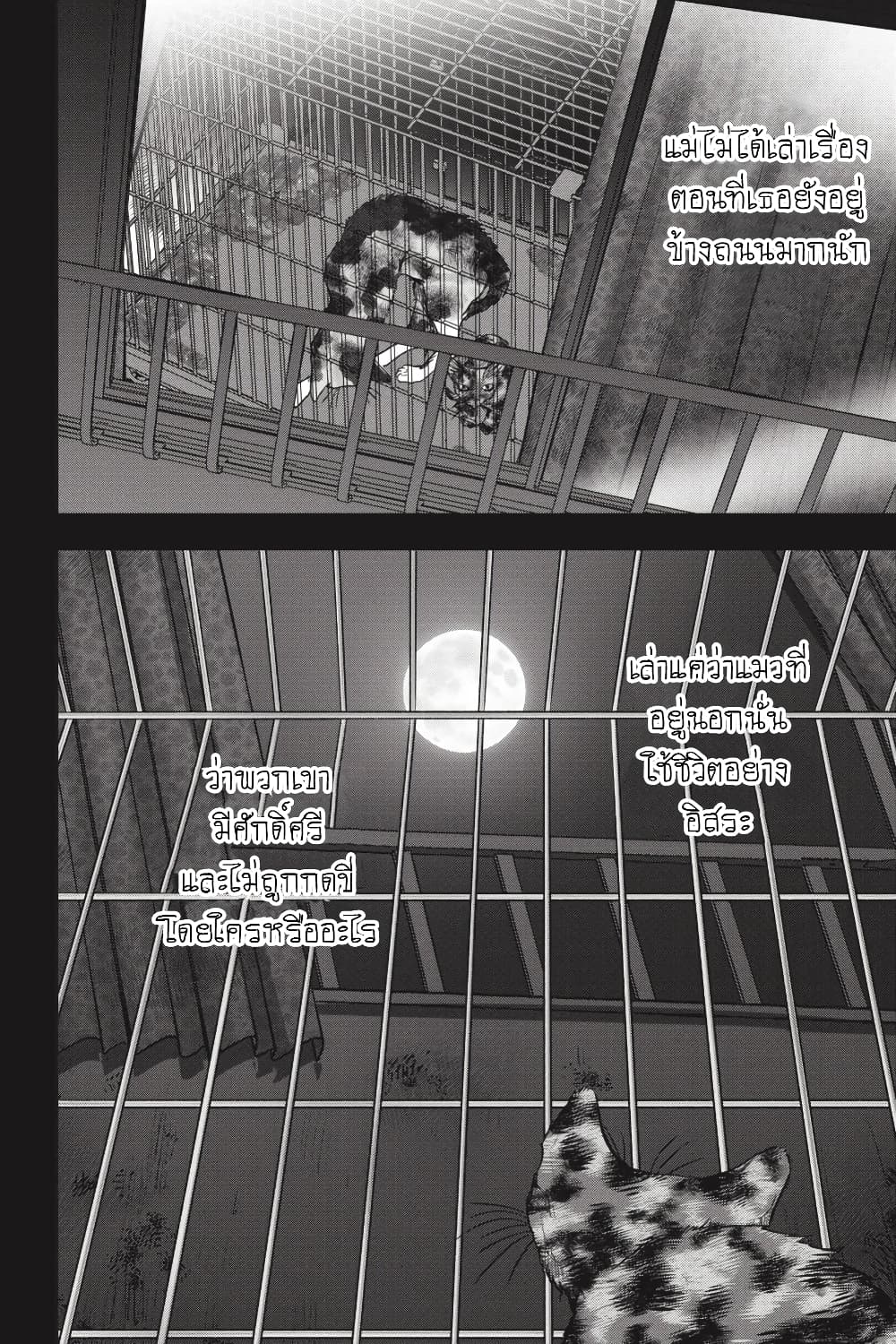 Nyankees 26-มาดาระ