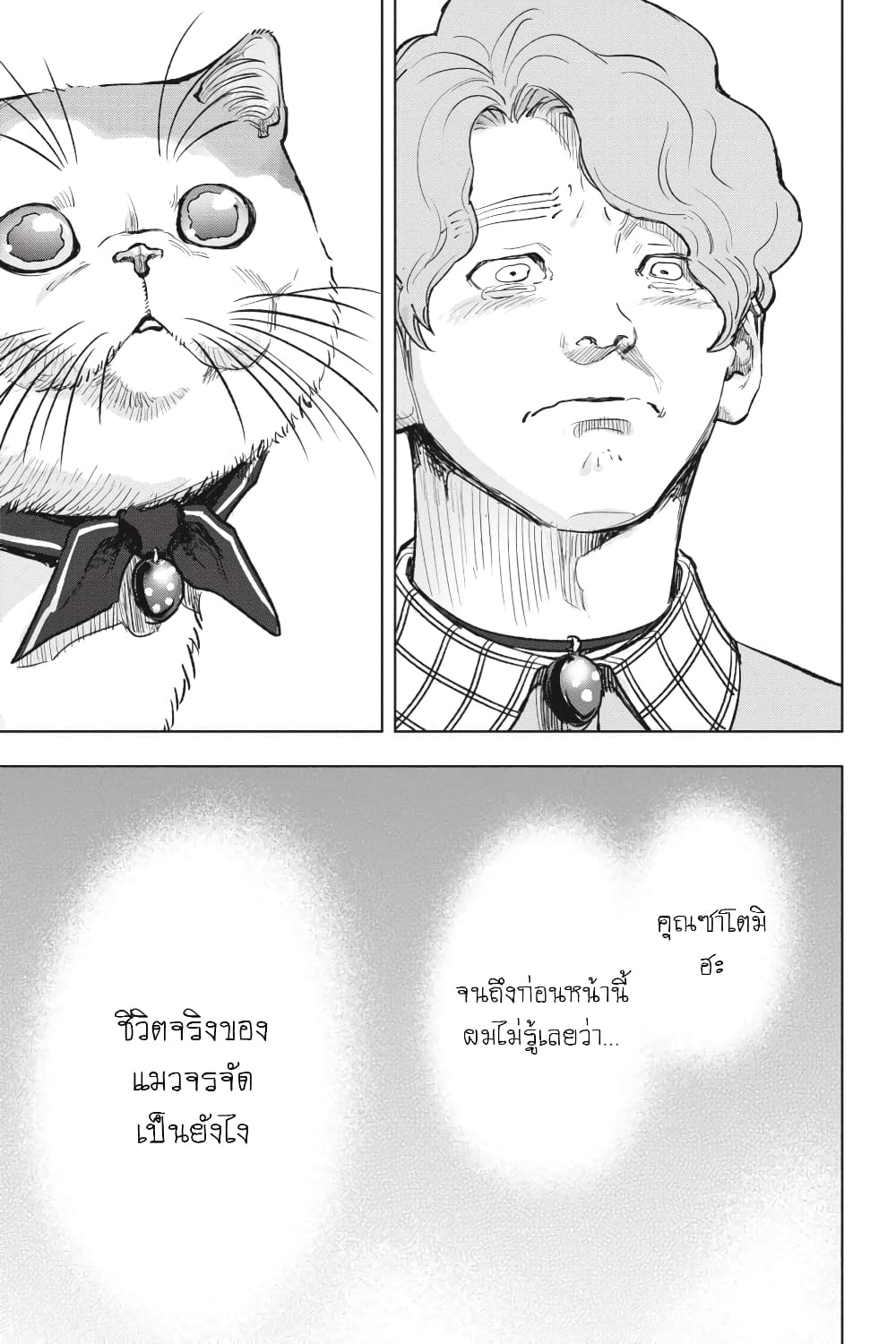 Nyankees 28-มีชีวิต