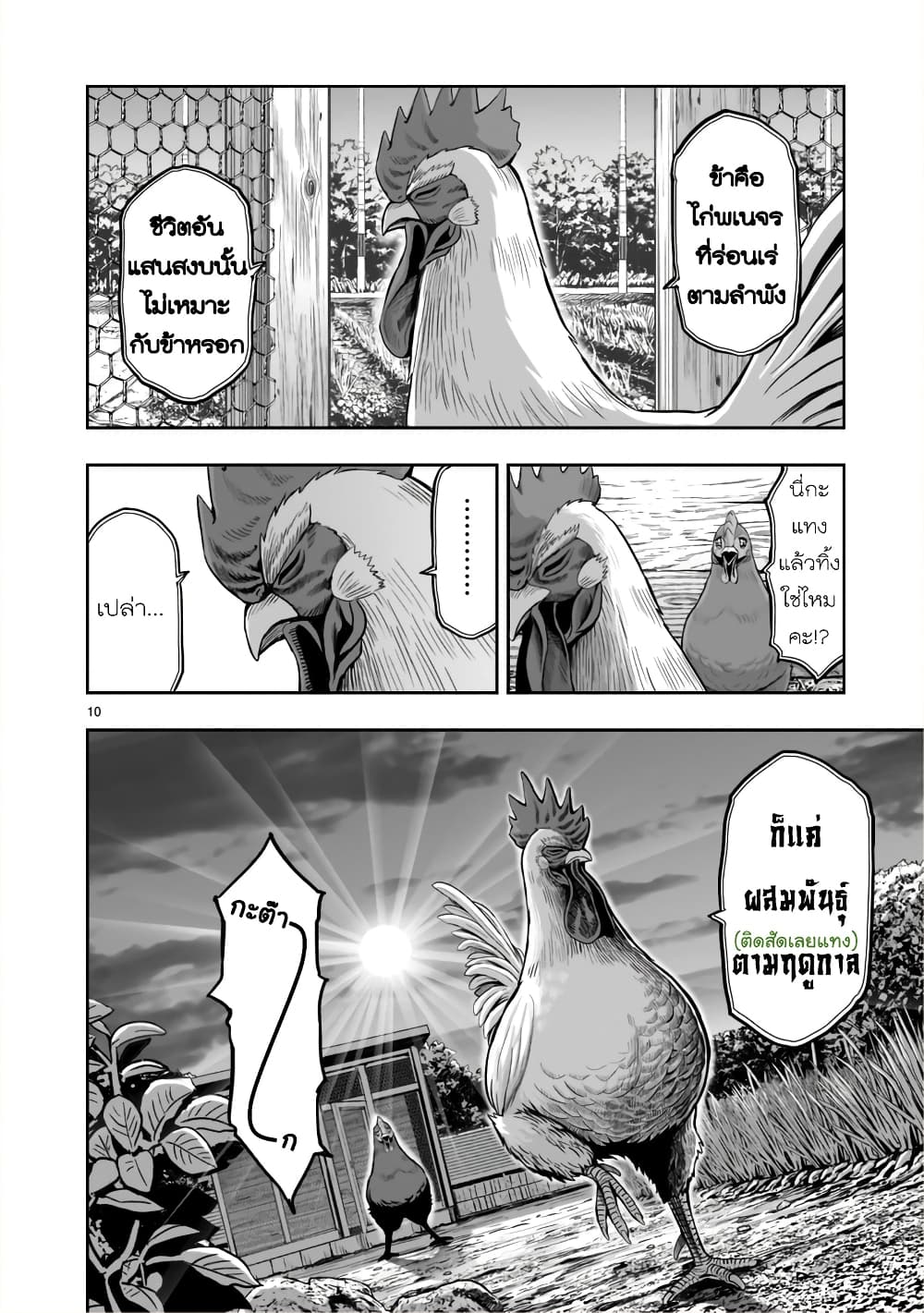 Rooster Fighter ป๋าโต้งชนยับ 1-ดั่งสัตว์ร้ายชุมนุม ดั่งไก่แตกรัง(นึกจะมาก็มา นึกจะไปก็ไป)