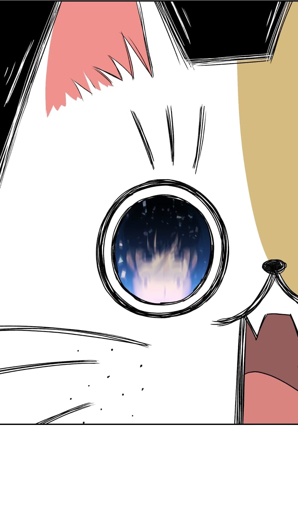 Face Genius 1-1