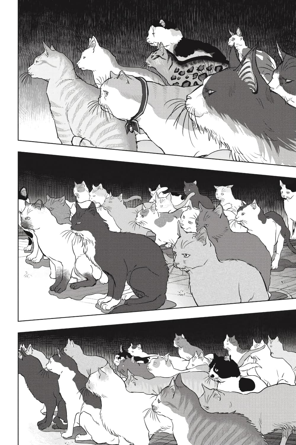 Nyankees 28-มีชีวิต