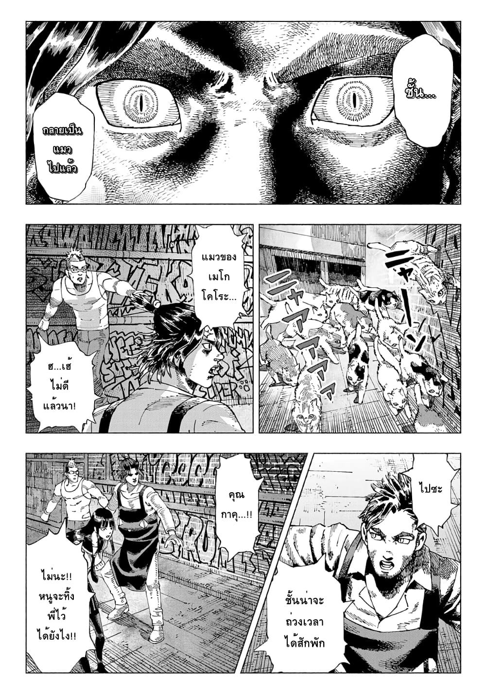 Nyaight of the Living Cat ซอมบี้เหมียวครองโลก! 2.2-คืนนี้เหล่าแมวได้แย่งชิงดวงดาวไป (ภาคปลาย)