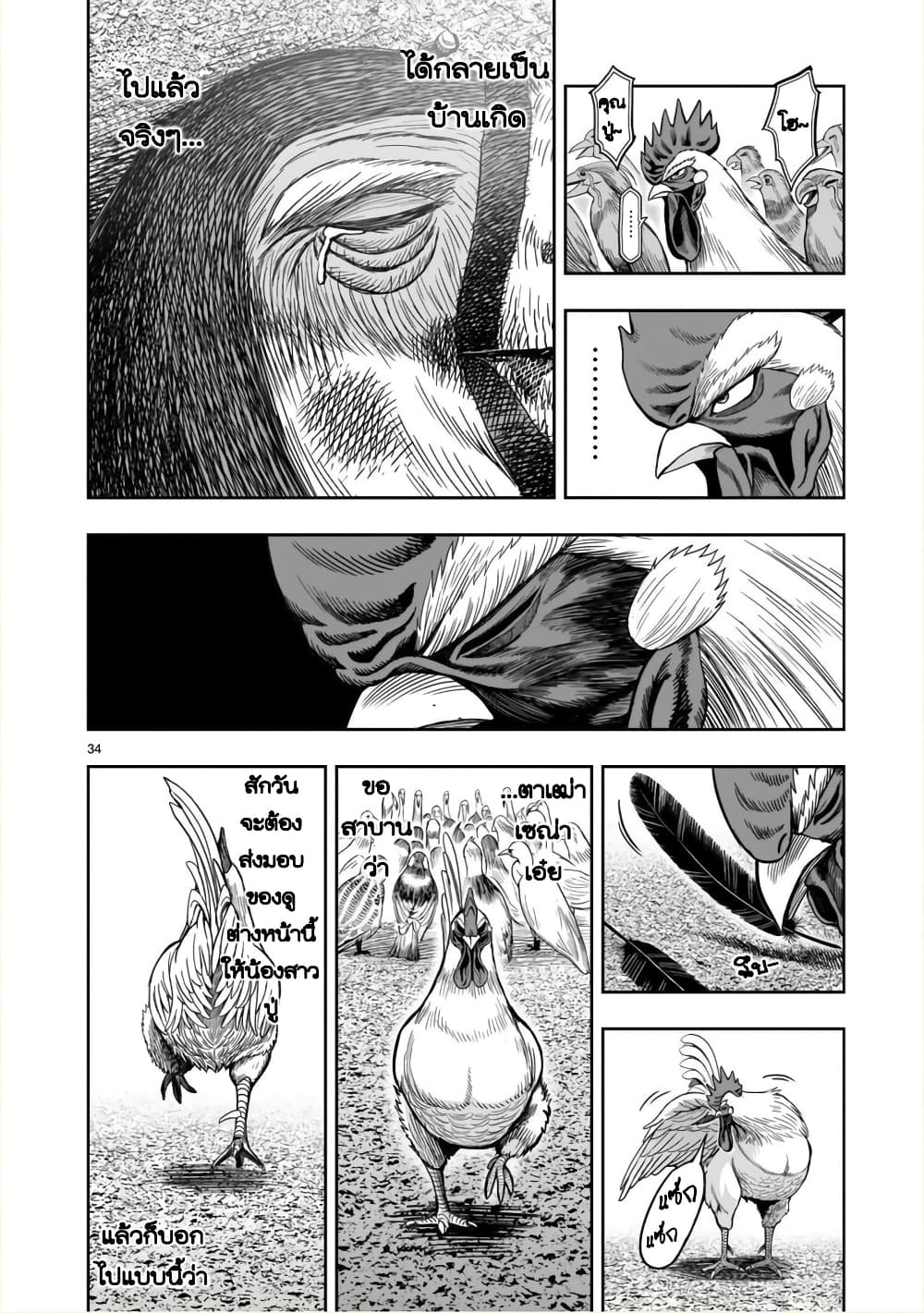 Rooster Fighter ป๋าโต้งชนยับ 3-ไก่กรุงมุ่งถิ่นใต้ ดั่งไปเล้าใกล้ๆ (คิดถึงถิ่นเกิด ในต่างแดน)