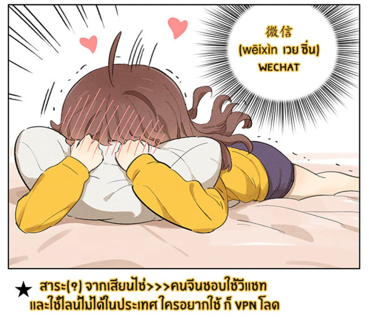 An Lian แอบรัก 3-3