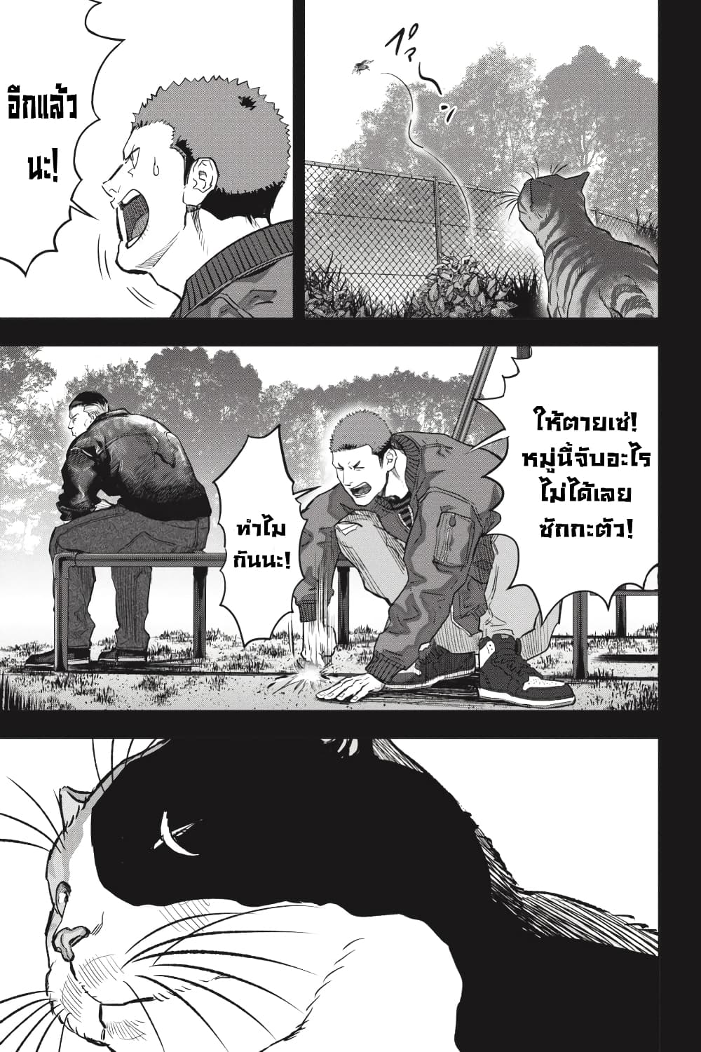 Nyankees 25-ไม่สามารถเอาชนะสัญชาตญาณได้