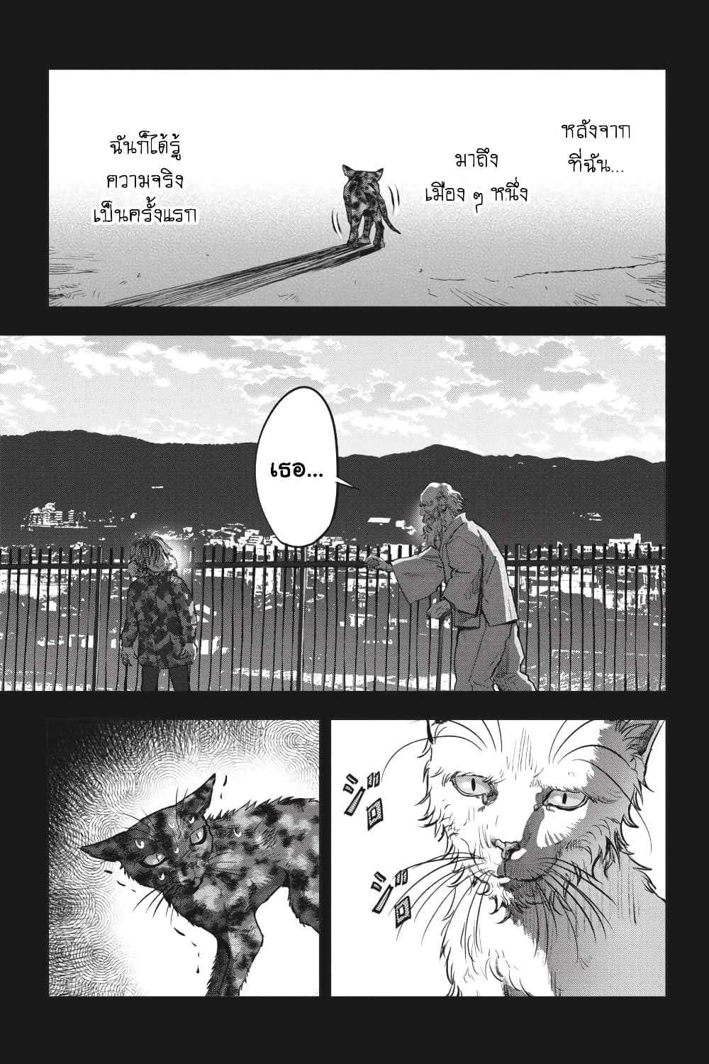 Nyankees 26-มาดาระ