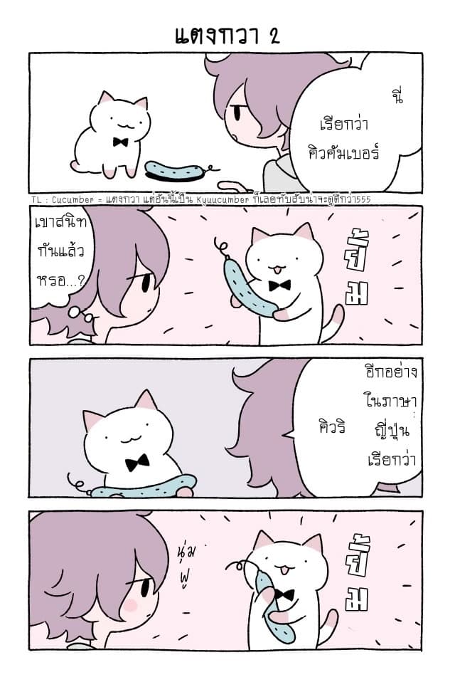 Wonder Cat Kyuu-chan คิวจัง แมวมหัศจรรย์ 16-16