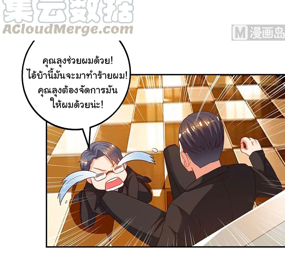 My Beauty Agent Wife ภรรยาผมเป็นสายลับ 28-28