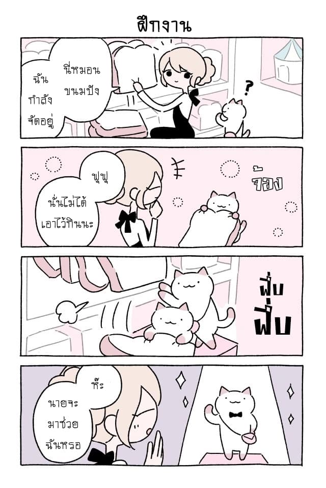 Wonder Cat Kyuu-chan คิวจัง แมวมหัศจรรย์ 17-17
