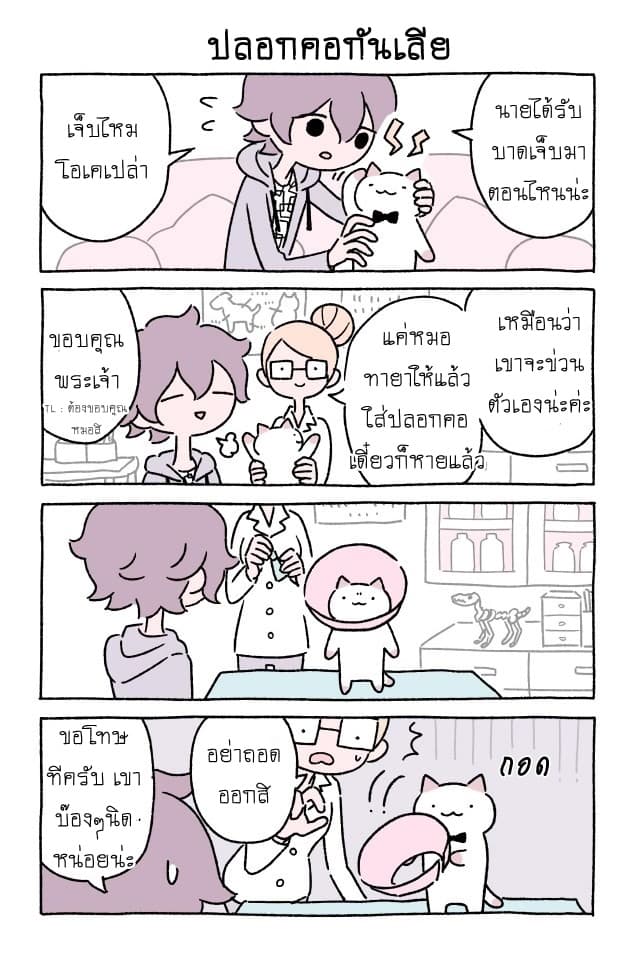 Wonder Cat Kyuu-chan คิวจัง แมวมหัศจรรย์ 18-18