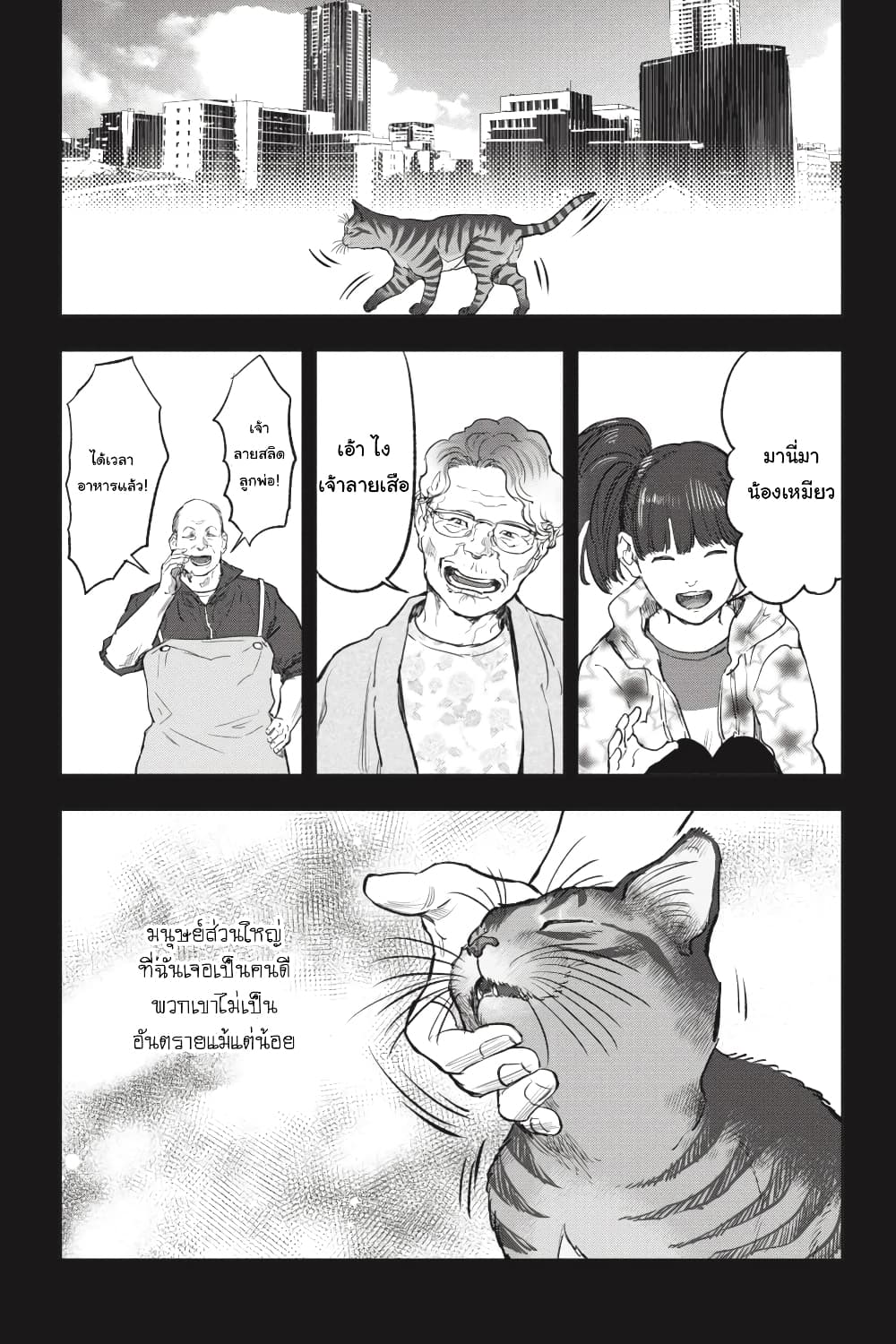 Nyankees 28-มีชีวิต