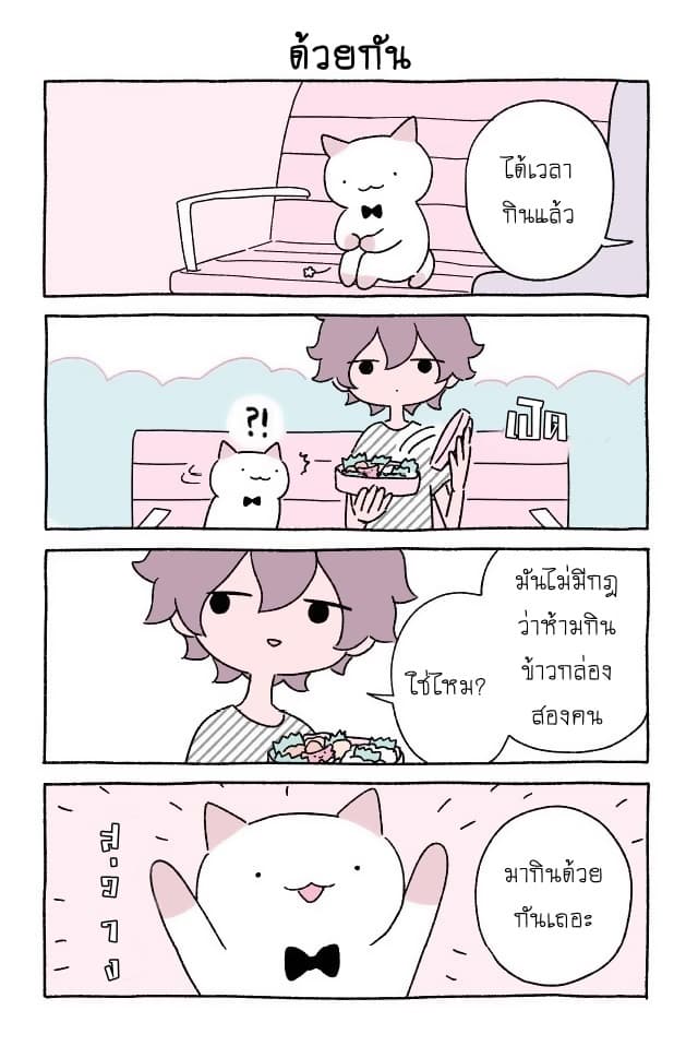 Wonder Cat Kyuu-chan คิวจัง แมวมหัศจรรย์ 9-9