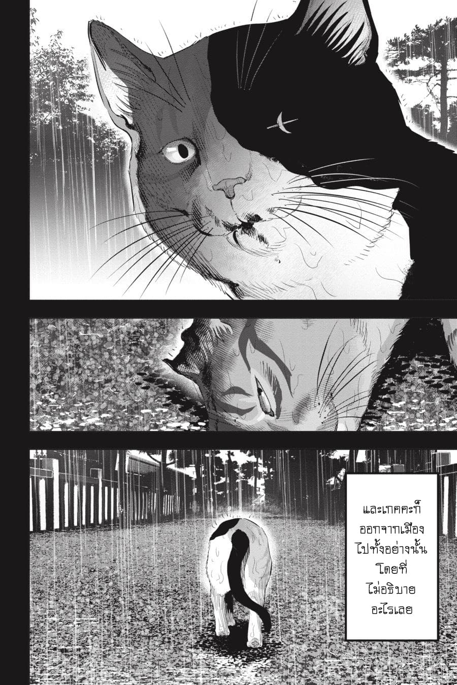 Nyankees 23-ปิดบัญชี