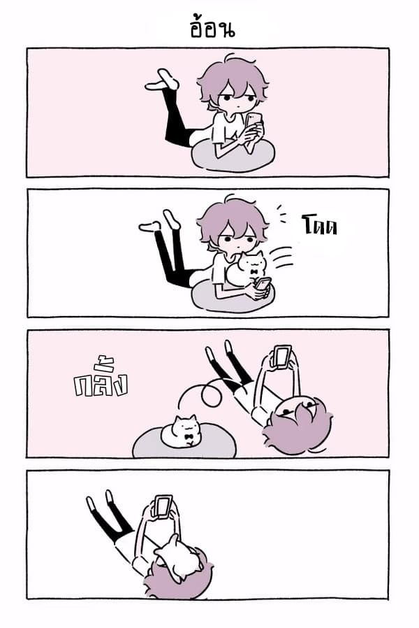 Wonder Cat Kyuu-chan คิวจัง แมวมหัศจรรย์ 12-12