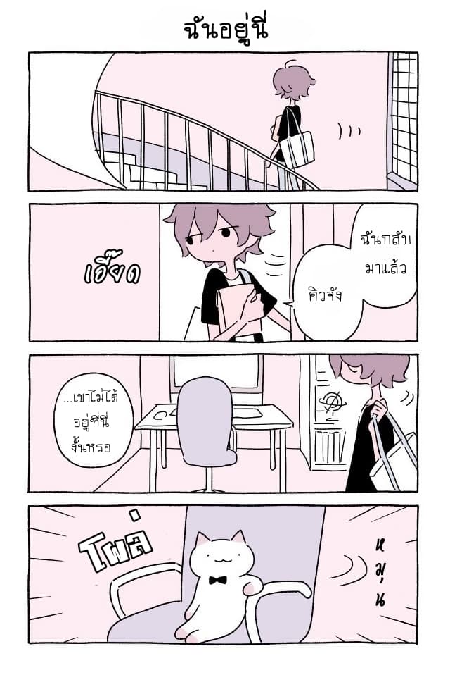 Wonder Cat Kyuu-chan คิวจัง แมวมหัศจรรย์ 11-11