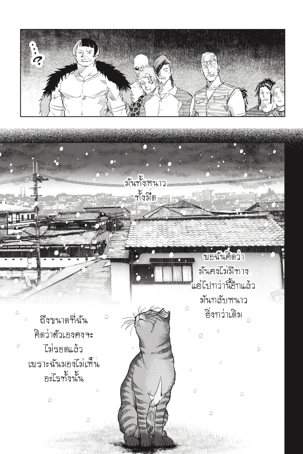 Nyankees 28-มีชีวิต