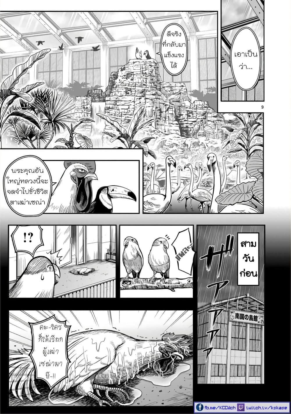 Rooster Fighter ป๋าโต้งชนยับ 3-ไก่กรุงมุ่งถิ่นใต้ ดั่งไปเล้าใกล้ๆ (คิดถึงถิ่นเกิด ในต่างแดน)
