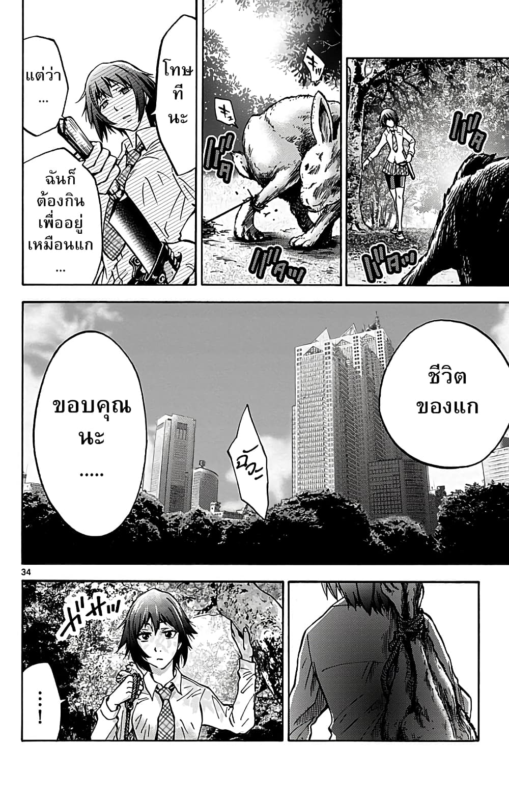 Imawa no Kuni no Alice 13-7 โพธิ์แดง (3)