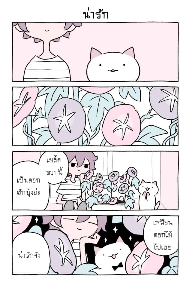 Wonder Cat Kyuu-chan คิวจัง แมวมหัศจรรย์ 15-15