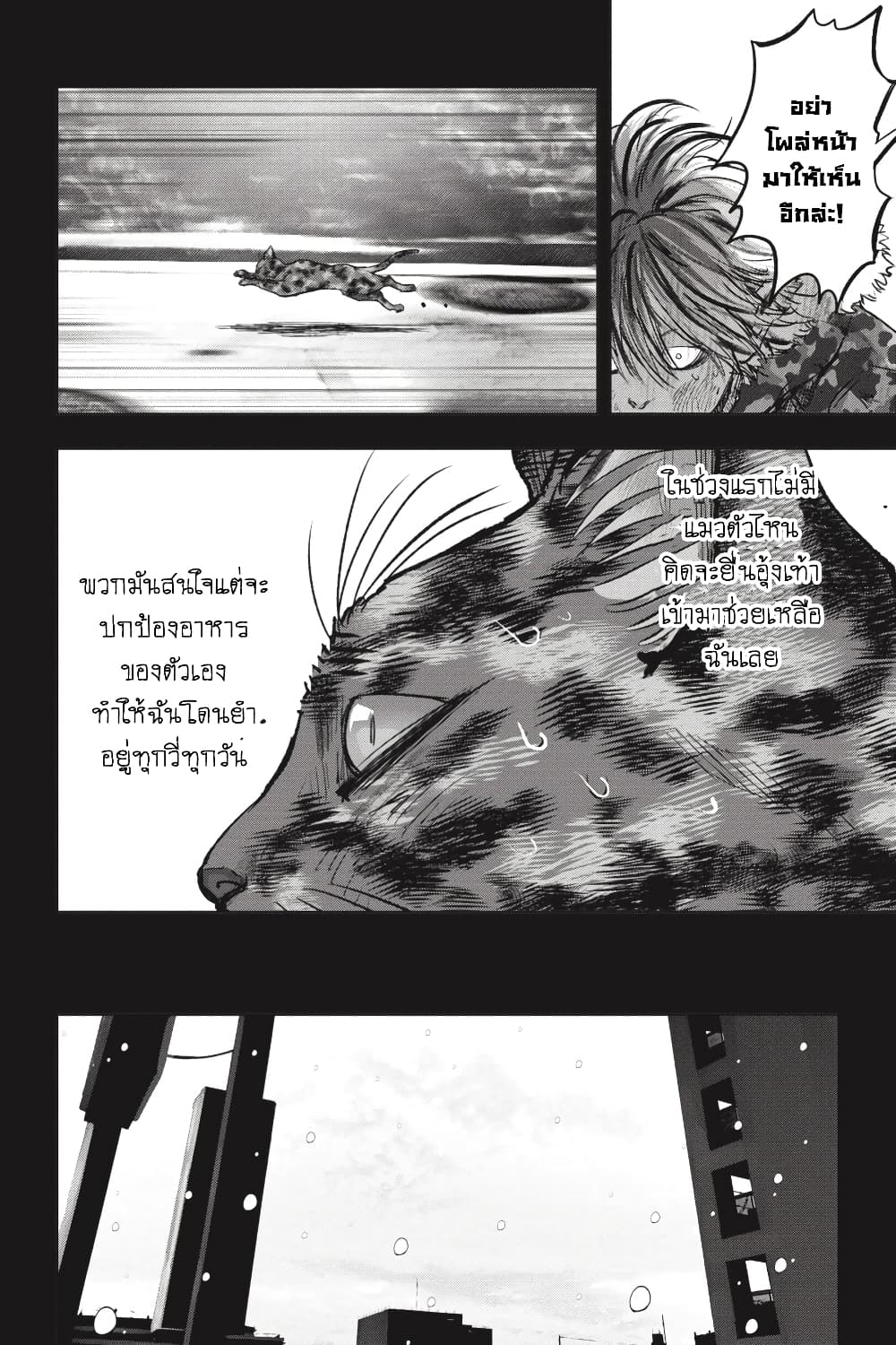 Nyankees 26-มาดาระ
