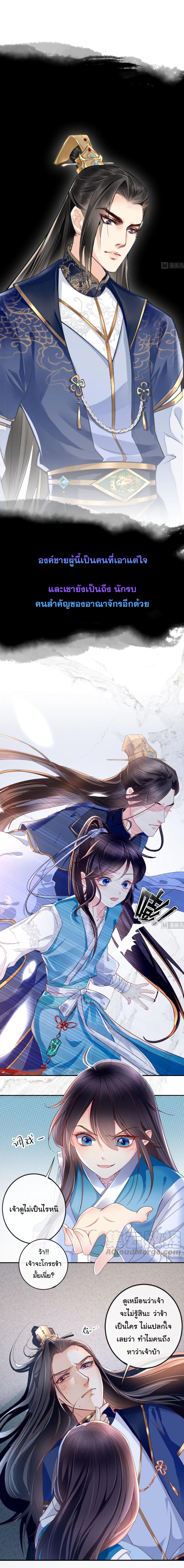 Don't Provoke The Crazy, Dumb and Villainous Consort 0-0