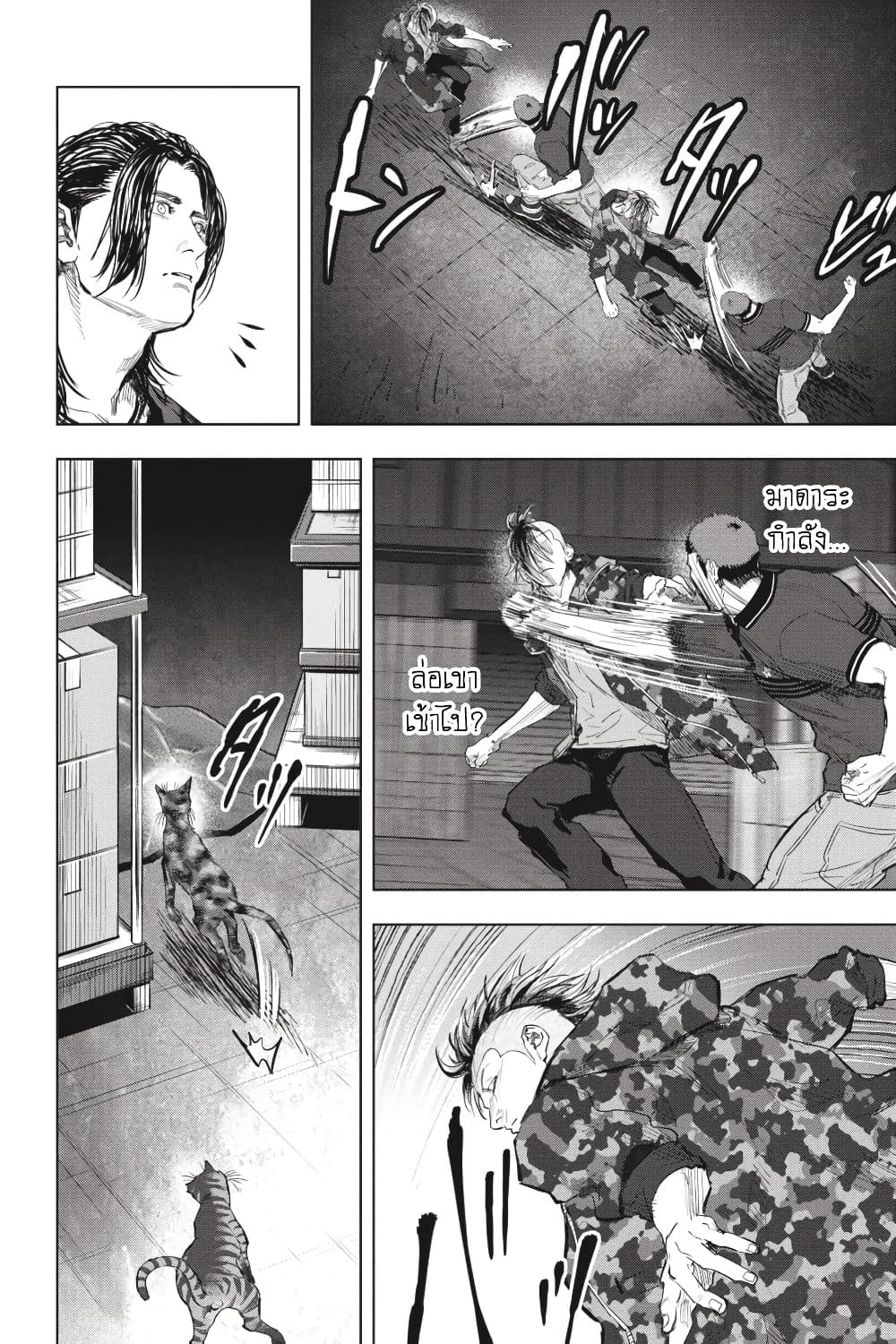 Nyankees 24-สัญชาตญาณแมว