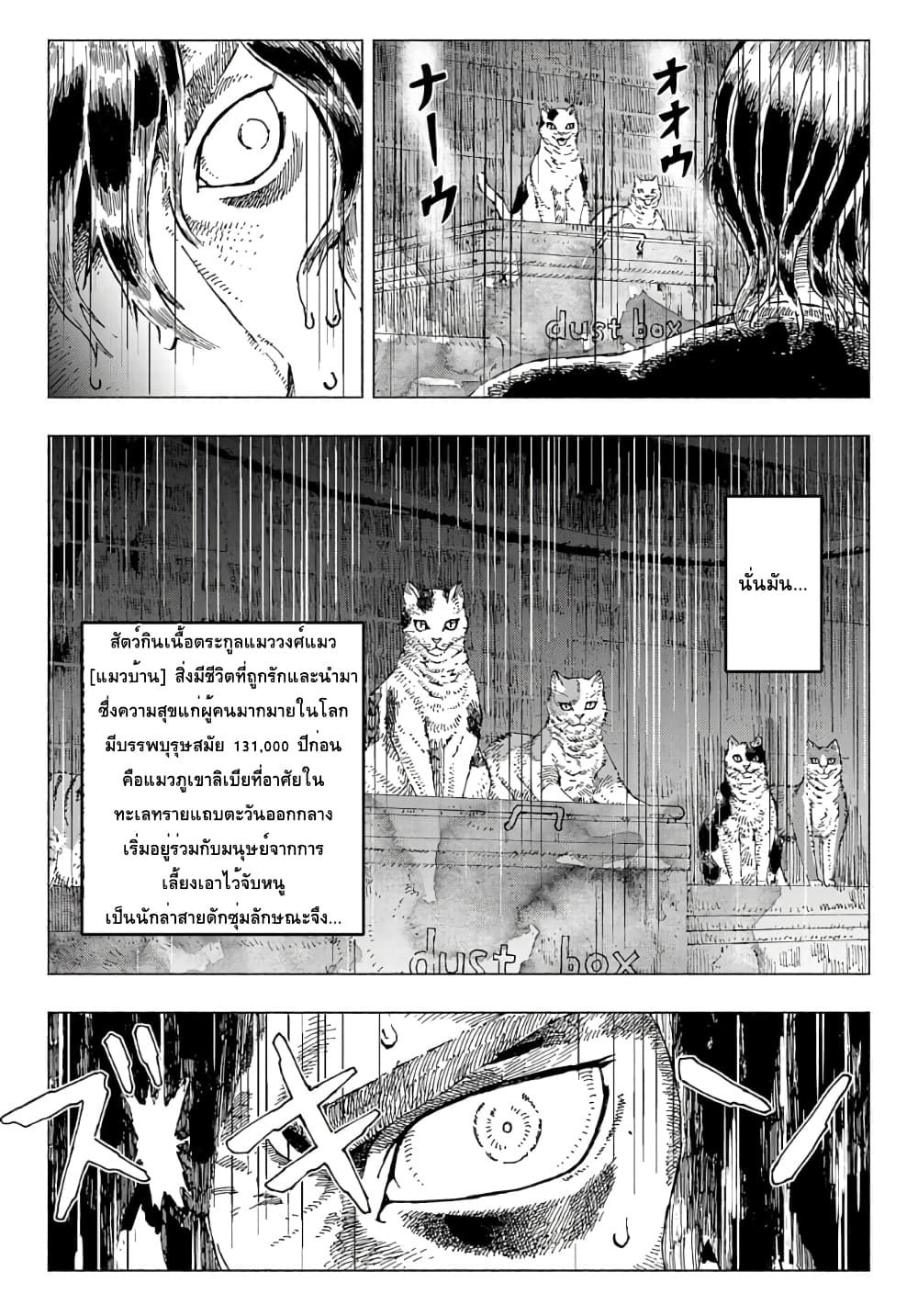 Nyaight of the Living Cat ซอมบี้เหมียวครองโลก! 2-คืนนี้เหล่าแมวได้แย่งชิงดวงดาวไป