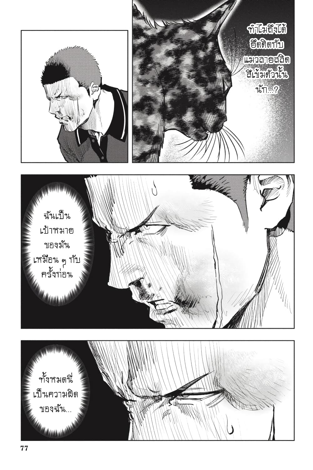 Nyankees 24-สัญชาตญาณแมว