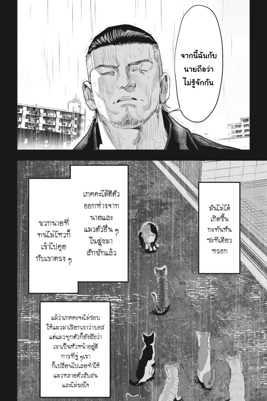 Nyankees 23-ปิดบัญชี