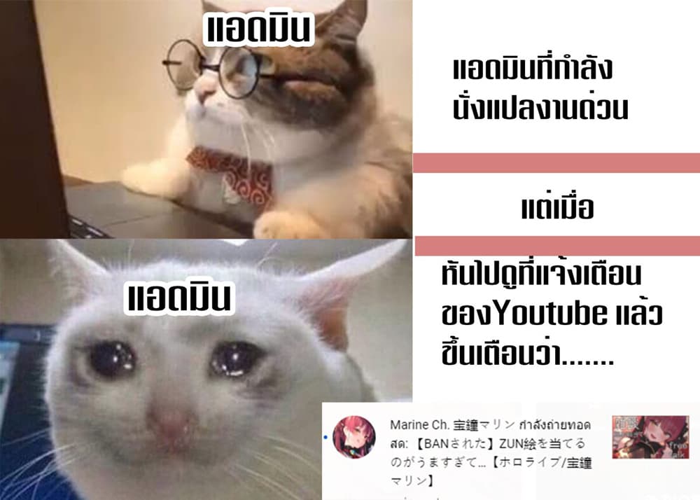 Siscon Ani to Brocon Imouto ga Shoujiki ni Nattara 48-ความรัก ความซื่อสัตย์ (ตอนจบ)