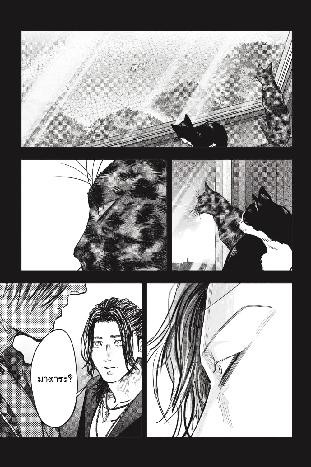 Nyankees 28-มีชีวิต