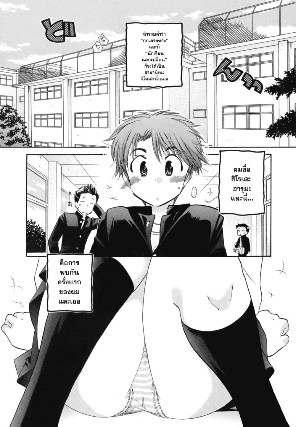 Kanojo no Kagi wo Akeru Houhou 1-สมการลายทาง