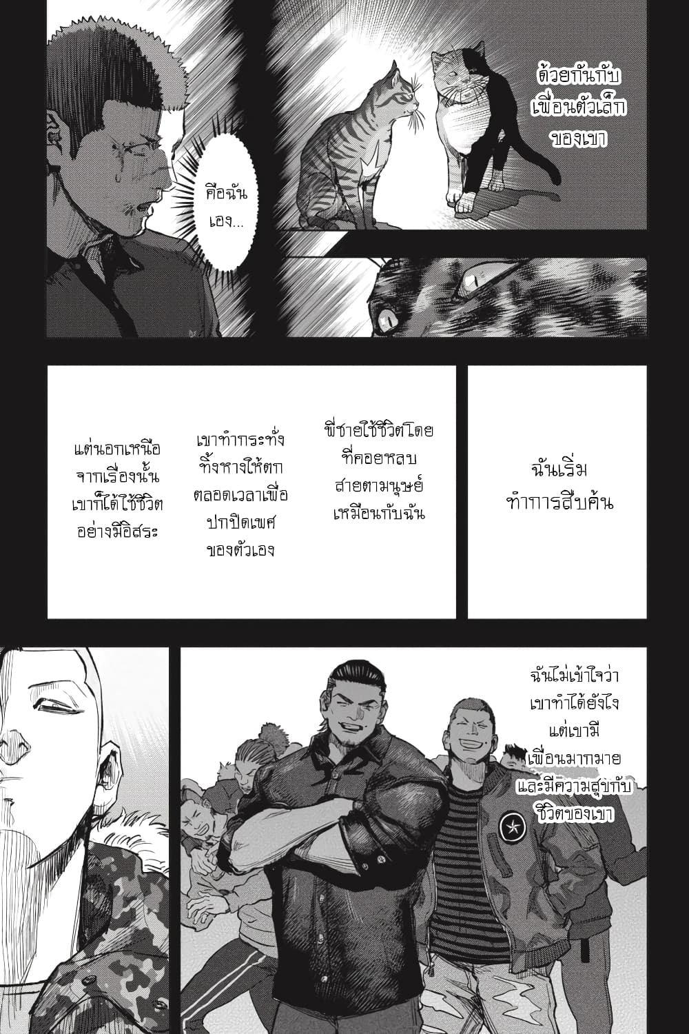 Nyankees 27-แมวสามสีตัวผู้เป็น...
