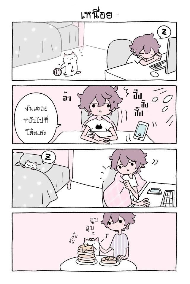 Wonder Cat Kyuu-chan คิวจัง แมวมหัศจรรย์ 10-10