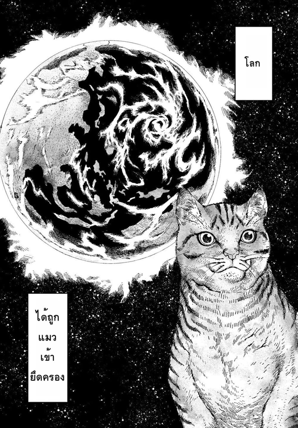 Nyaight of the Living Cat ซอมบี้เหมียวครองโลก! 1-ทุกสิ่งได้กลายเป็นแมว
